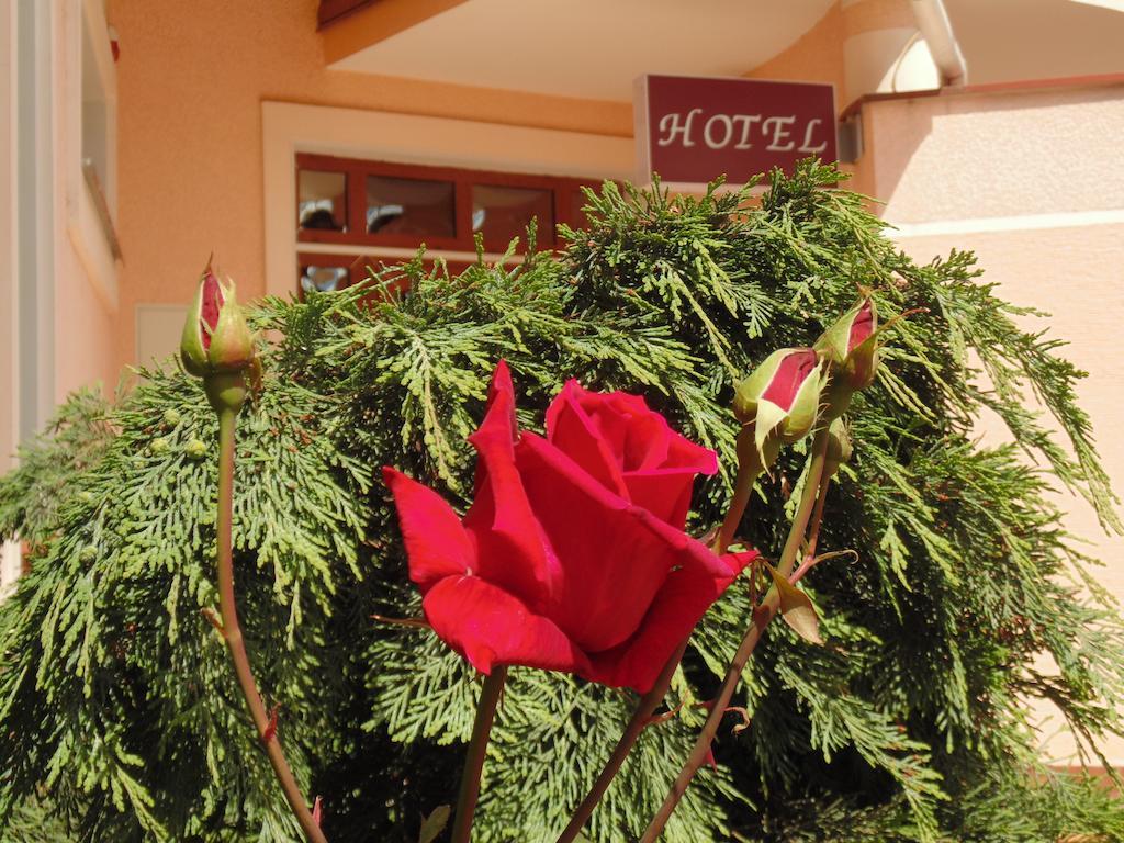 Hotel U Anity Uschhorod Exterior foto